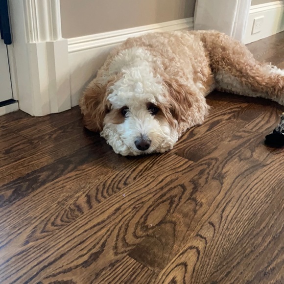 Meet your Posher, Kathry - Picture 1 of 1